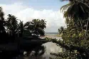 Hotel Normandie Limited Belmont
